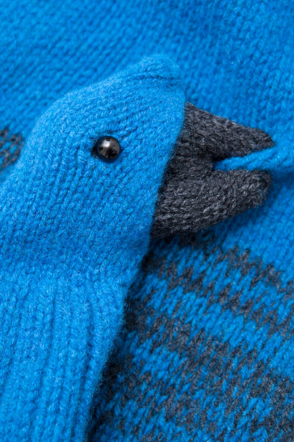 kleiner Hyacinth Ara