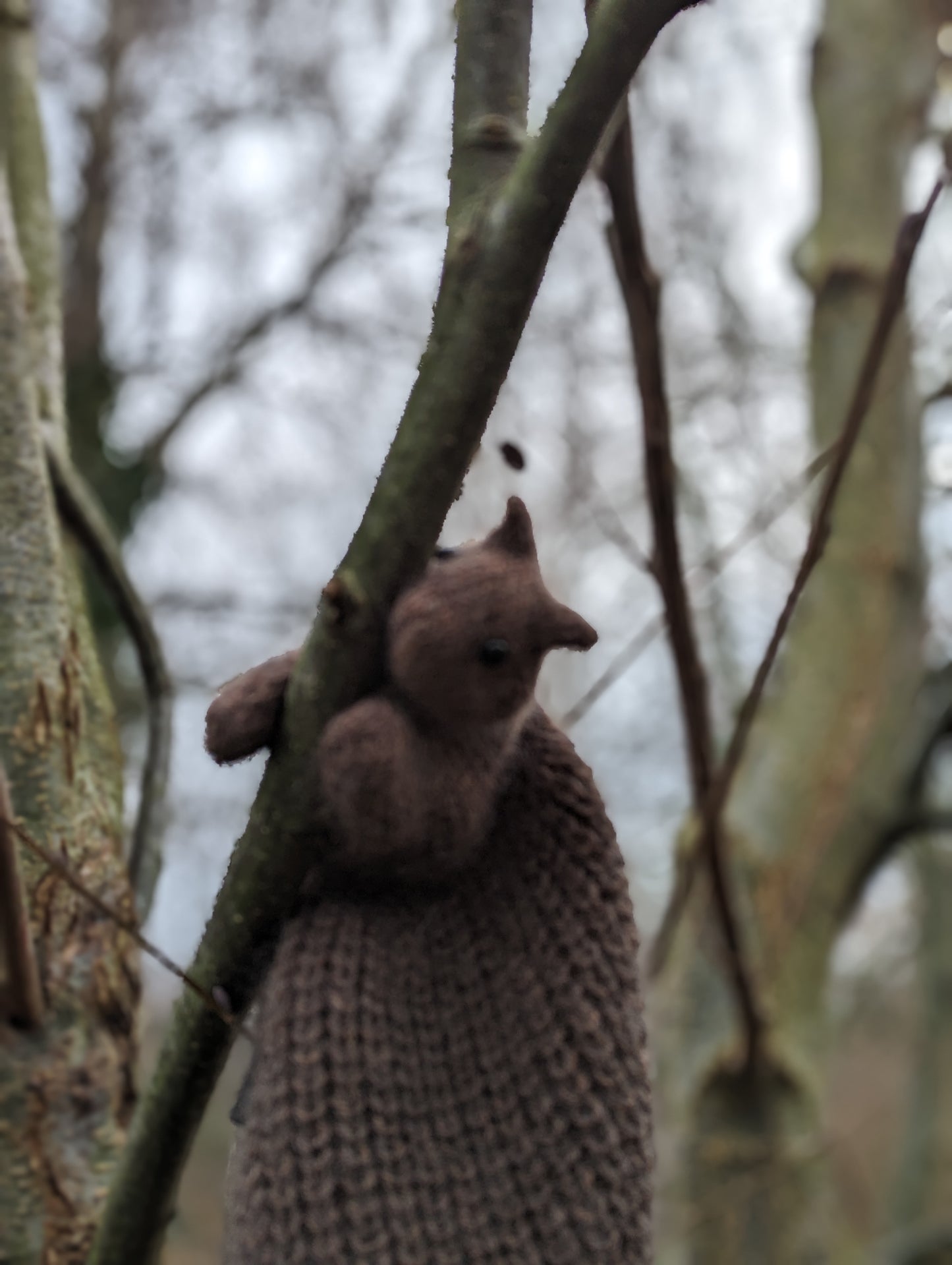 Squirrel scarf with mohair